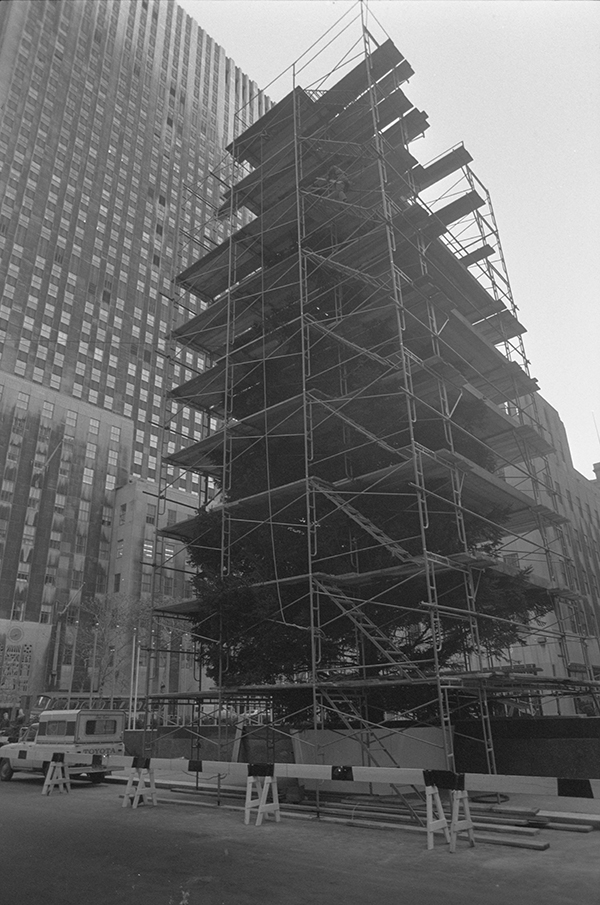 New York City, Manhattan, Rockefeller Center, Weihnachtsbaum Wird Hergerichtet